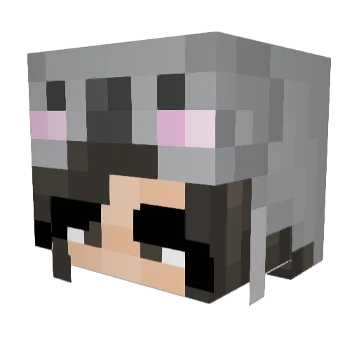 SkylaRainbowSL Minecraft avatar head, 3D render