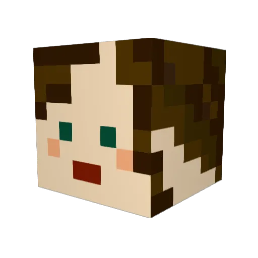 Skyla_Reigns Minecraft avatar head, 3D render