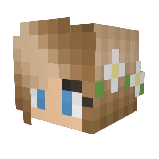 Skylaa Minecraft avatar head, 3D render