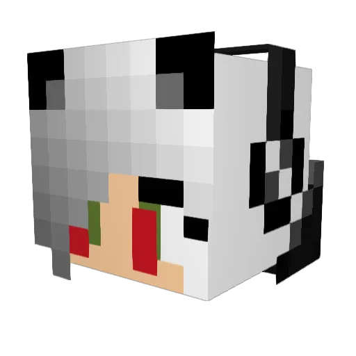 Skylandergames Minecraft avatar head, 3D render