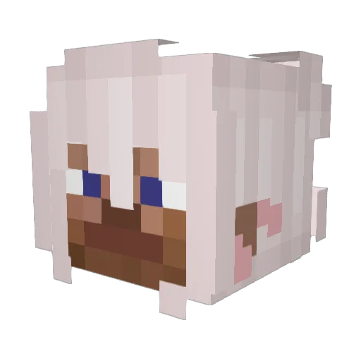 Skylar5006 Minecraft avatar head, 3D render