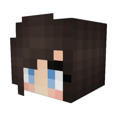SkylarEvermore Minecraft avatar head, 3D render