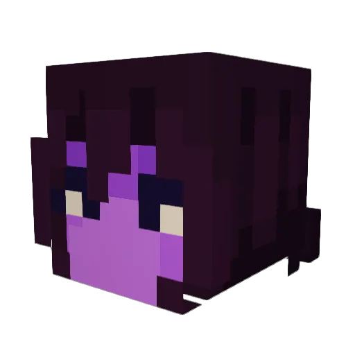 SkylarSlyDragon Minecraft avatar head, 3D render