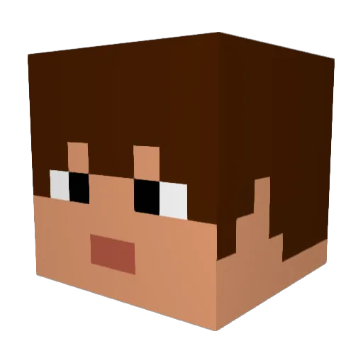 Skylar_3000 Minecraft avatar head, 3D render