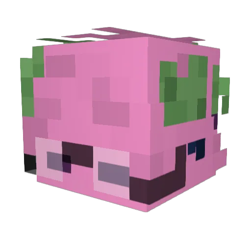 Skylar_Alix Minecraft avatar head, 3D render