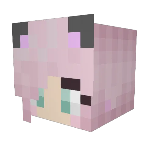 Skylar_Gamez Minecraft avatar head, 3D render