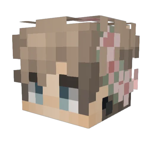 Skylark1019 Minecraft avatar head, 3D render