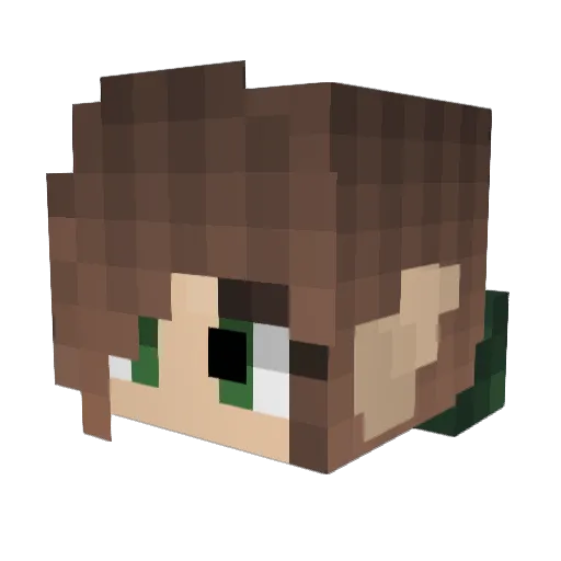 Skylark33 Minecraft avatar head, 3D render