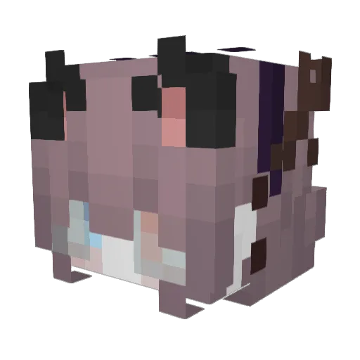 SkylasJustVibin Minecraft avatar head, 3D render