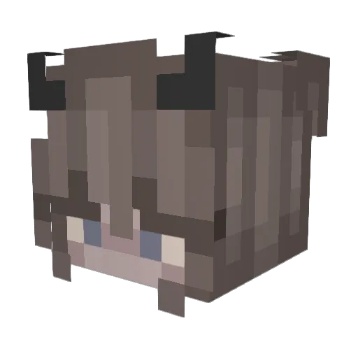 Skylastormz Minecraft avatar head, 3D render