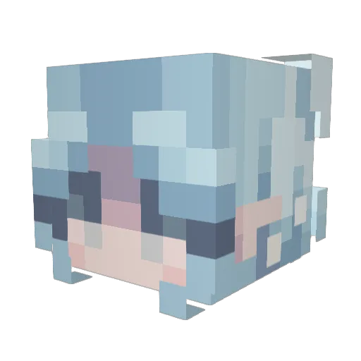 Skylee Minecraft avatar head, 3D render