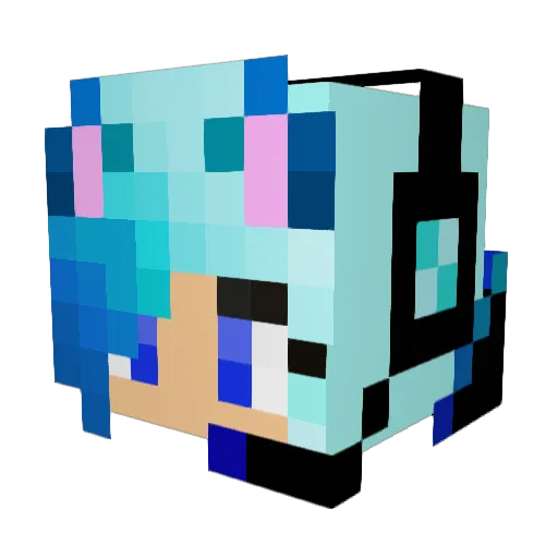 Skyler0401 Minecraft avatar head, 3D render