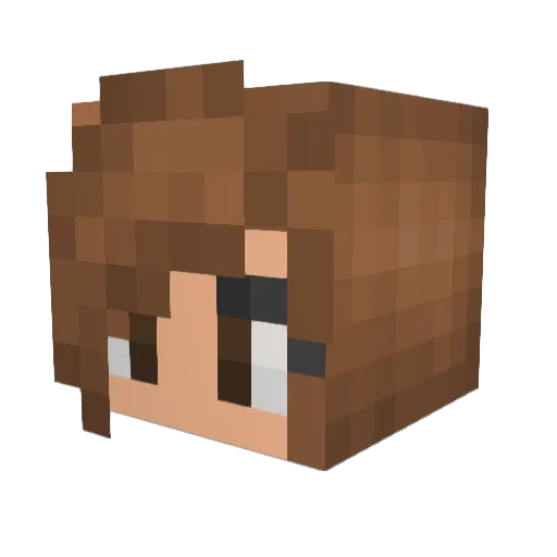Skyler100 Minecraft avatar head, 3D render