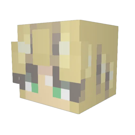 Skyler198 Minecraft avatar head, 3D render
