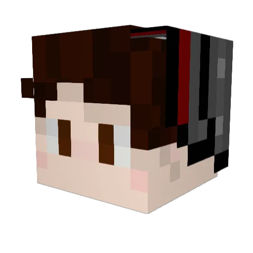 Skyler8713 Minecraft avatar head, 3D render