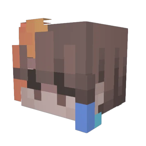 Skyler9116 Minecraft avatar head, 3D render