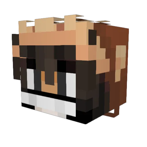 SkylerAlex Minecraft avatar head, 3D render