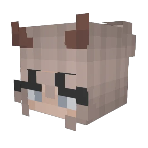 SkylerJade12 Minecraft avatar head, 3D render
