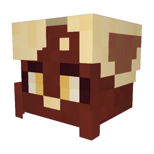 Skylerdragon14 Minecraft avatar head, 3D render