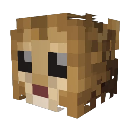 Skylion9 Minecraft avatar head, 3D render