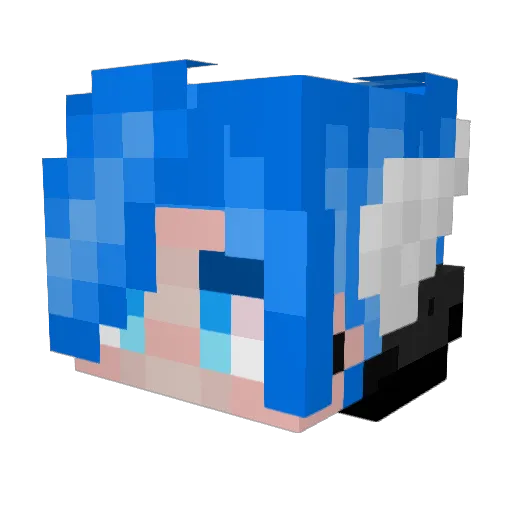 Skylord1291 Minecraft avatar head, 3D render