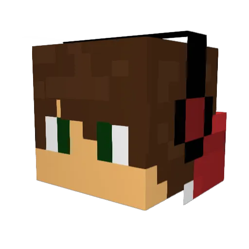 Skylord456 Minecraft avatar head, 3D render
