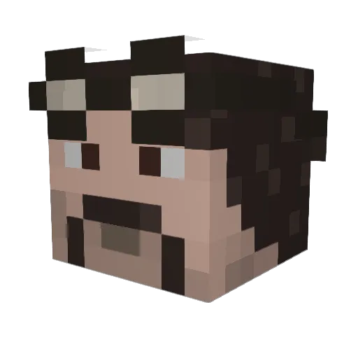 Skylord_Lycander Minecraft avatar head, 3D render