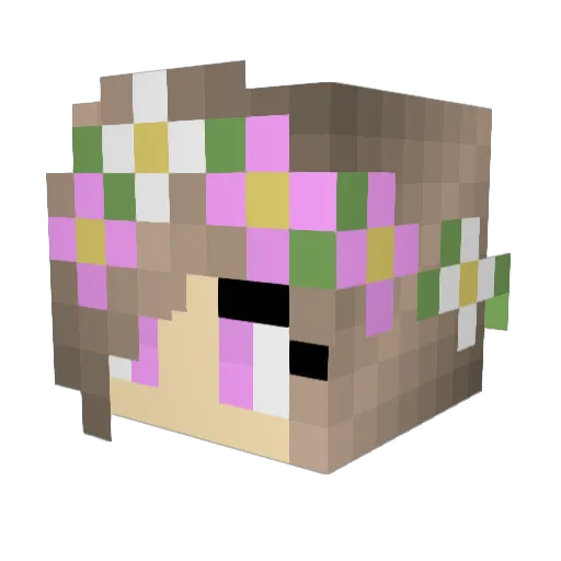 Skyluvbug22 Minecraft avatar head, 3D render