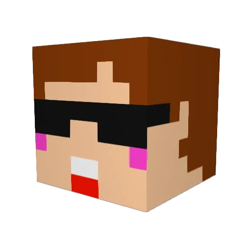 Skyman256 Minecraft avatar head, 3D render