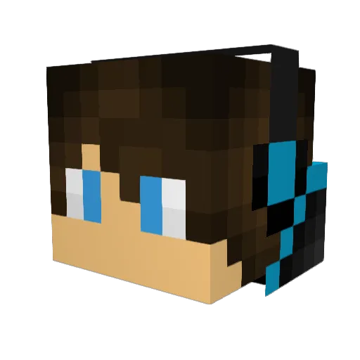 Skymichael3495 Minecraft avatar head, 3D render