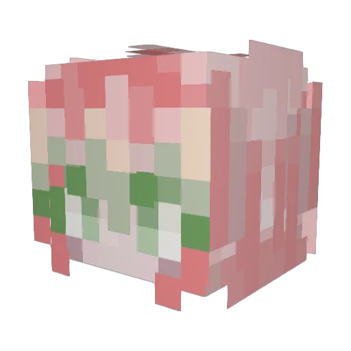 Skymine_ Minecraft avatar head, 3D render