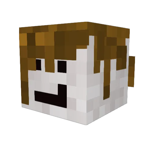 SkyneroYT Minecraft avatar head, 3D render