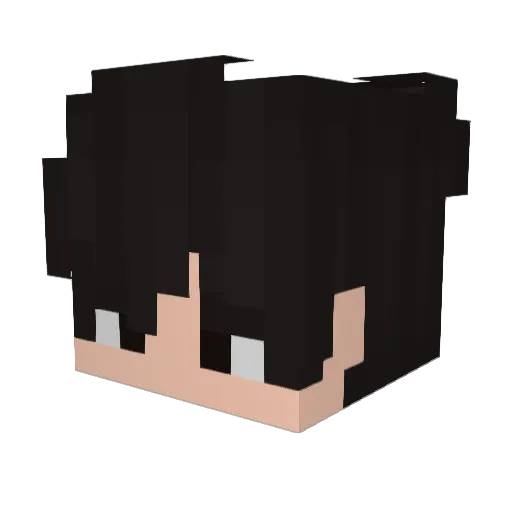 Skynet080608 Minecraft avatar head, 3D render