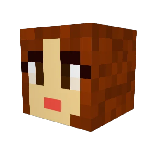 Skynet24 Minecraft avatar head, 3D render