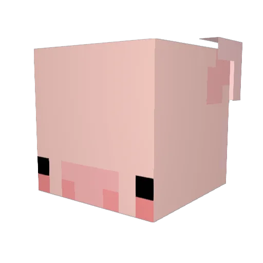 Skynocerus Minecraft avatar head, 3D render