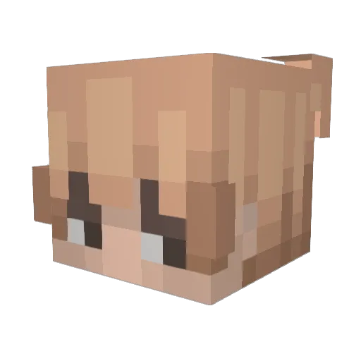 Skypifyy_ Minecraft avatar head, 3D render