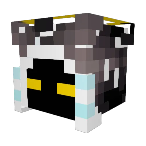 Skyplayerdragon1 Minecraft avatar head, 3D render