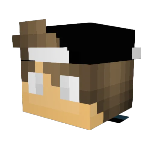 Skyraytis Minecraft avatar head, 3D render