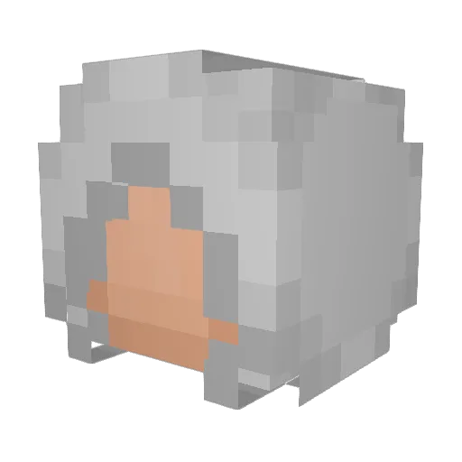 Skyreimer Minecraft avatar head, 3D render