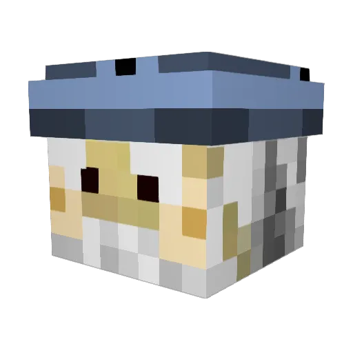Skyrider50 Minecraft avatar head, 3D render
