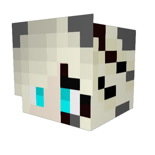 Skyron747 Minecraft avatar head, 3D render