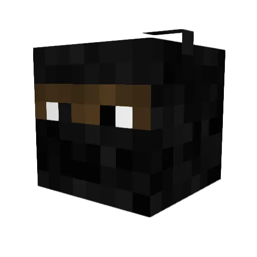 Skyron917 Minecraft avatar head, 3D render