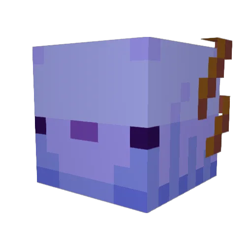 Skyrriz Minecraft avatar head, 3D render