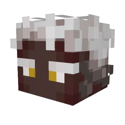 Skyrude Minecraft avatar head, 3D render