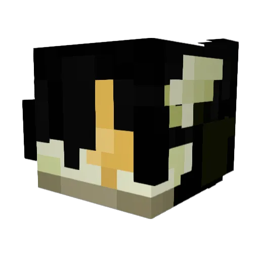 Skyruin Minecraft avatar head, 3D render