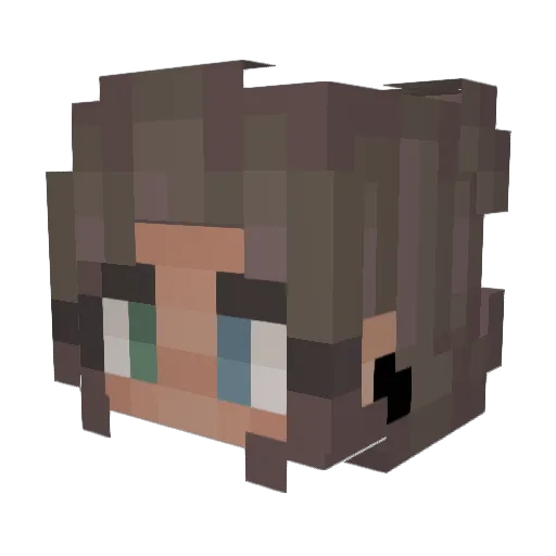Skyrule09 Minecraft avatar head, 3D render