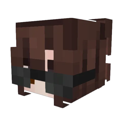 SkyrunnerDX Minecraft avatar head, 3D render