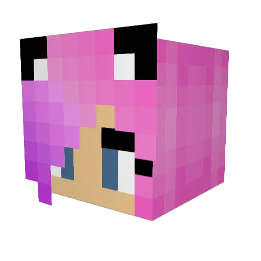 Skysailor22 Minecraft avatar head, 3D render