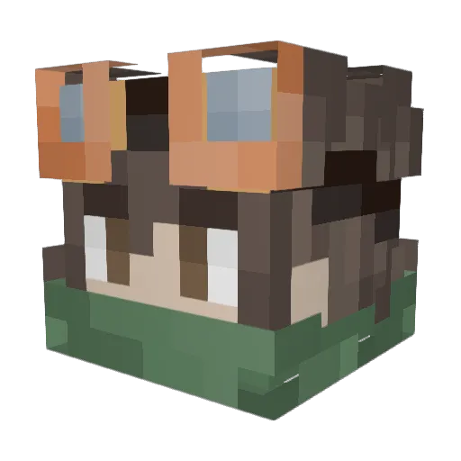 SkysenP Minecraft avatar head, 3D render