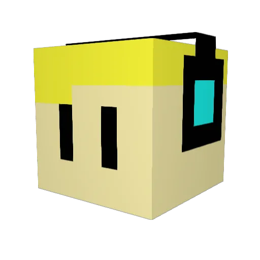 Skyshifterr Minecraft avatar head, 3D render